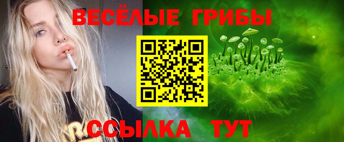 Псилоцибиновые грибы MAGIC MUSHROOMS  цены   Ангарск  Вход с VPN 